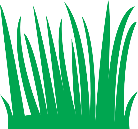Traceable Grass Clipart Lawn Clip Art - Cartoon Blades Of Grass (570x532)