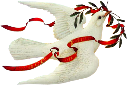 Tubes Paysages / Mystiques Mystique, Christmas Clipart, - White Christmas Dove (500x352)