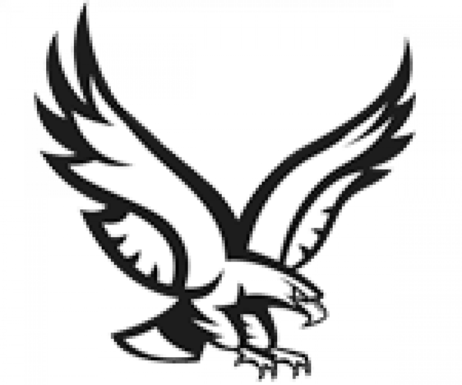 Download Golden Eagle Logo Png Clipart Bald Eagle Logo - New York Mills Eagles Logo (900x750)