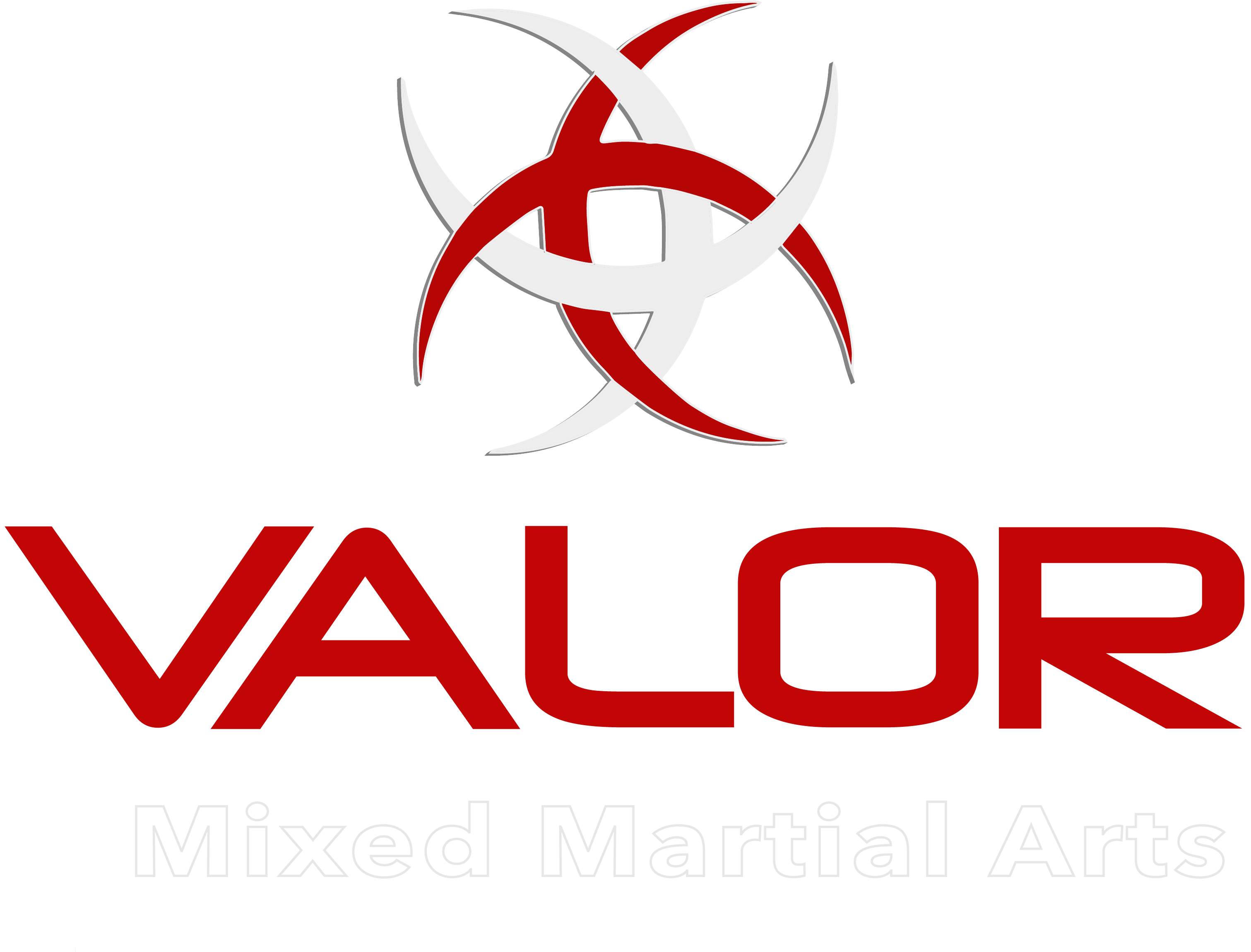 Valor Mixed Martial Arts - Logo (3076x2387)