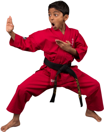 Karate For Kids At Ata Martial Arts In Albany - Karate Training Kids (345x470)