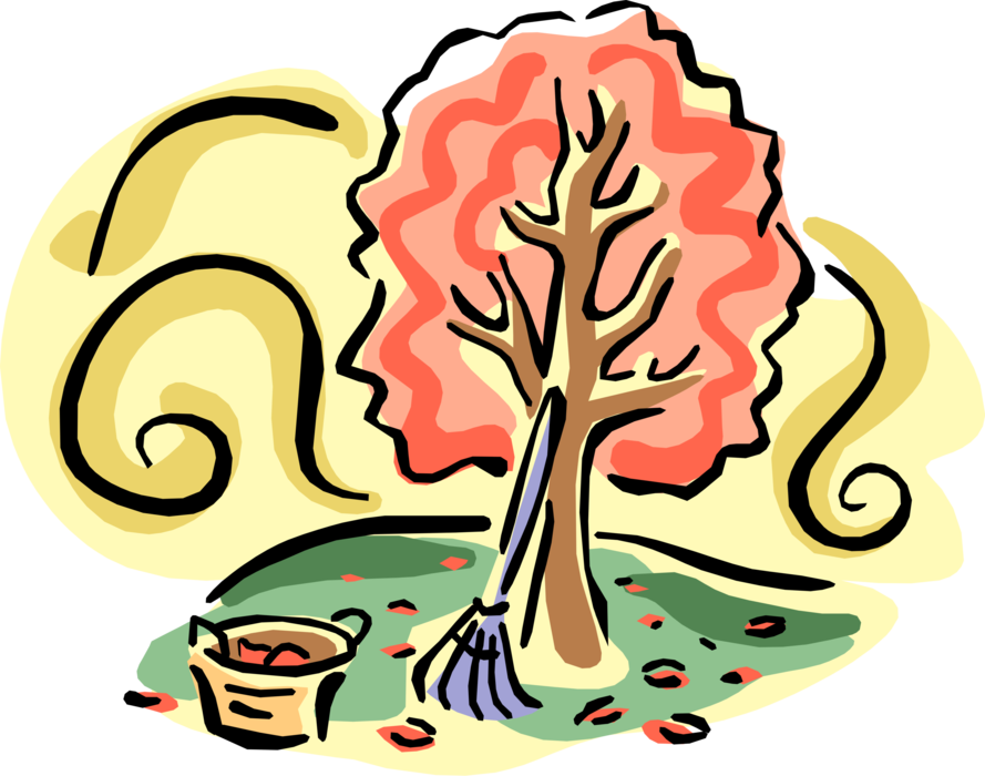 Vector Illustration Of Deciduous Forest Tree Turns - September Weather Clip Art (889x700)