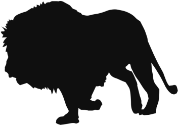 Lion Walking Wild Animals Clipart Background, Lion, - Portable Network Graphics (640x640)