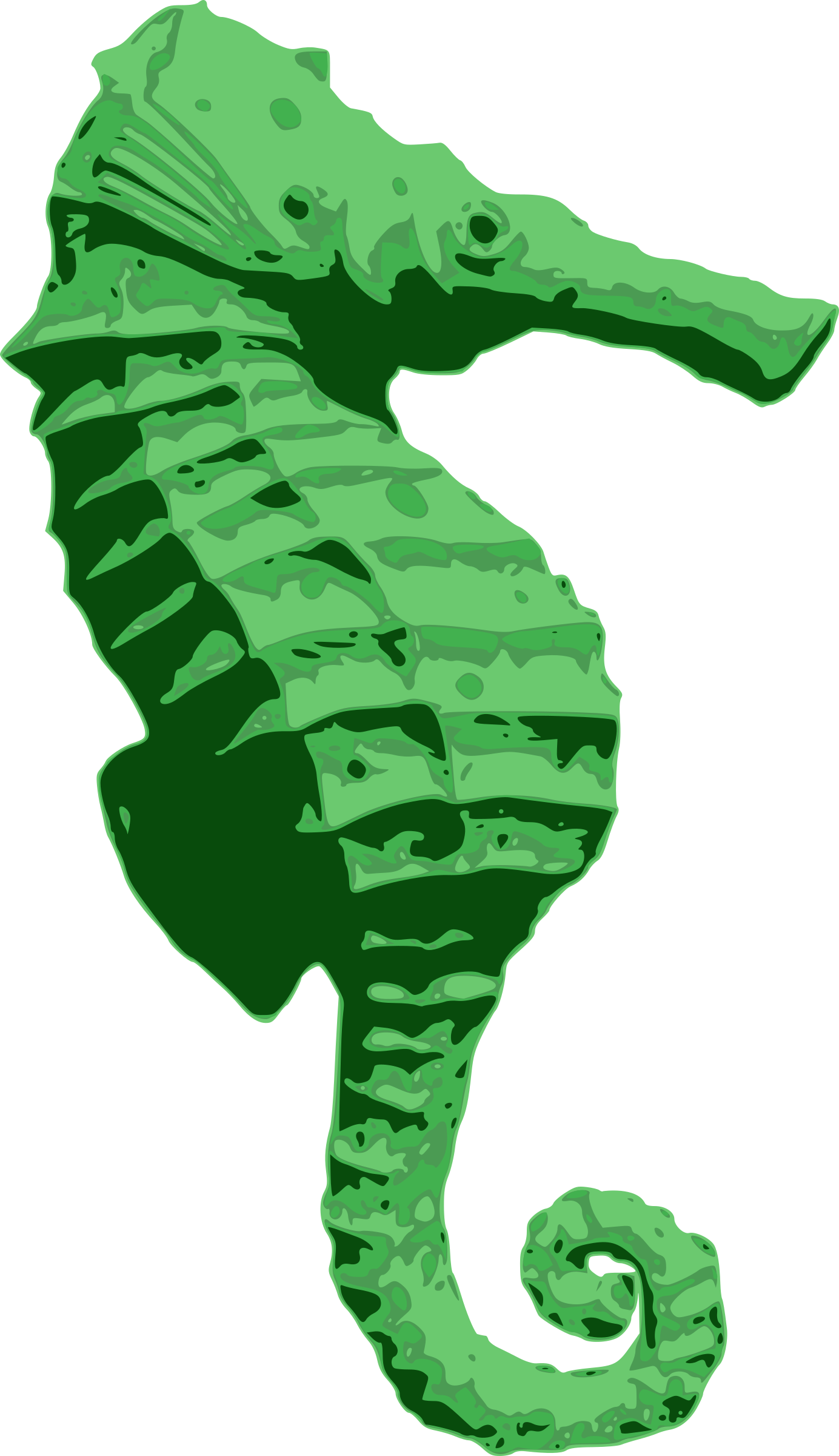 Big Image - Pipefishes And Allies (1384x2400)