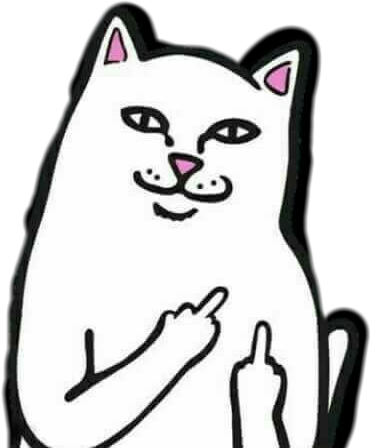 Middle Finger Meme Png - Middle Finger Cat Meme (370x448)