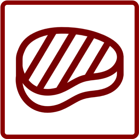 Are You Muslim Yes No - Scalable Vector Graphics (500x500)