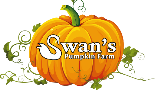 Swan's Pumpkin Farm In Racine County - Swans Pumpkin Farm (512x298)