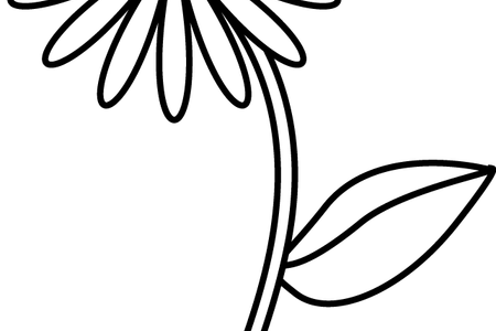 Clip Library Stock Flower Shop Near Me How To Draw - Simple Flower Line Drawing (450x300)