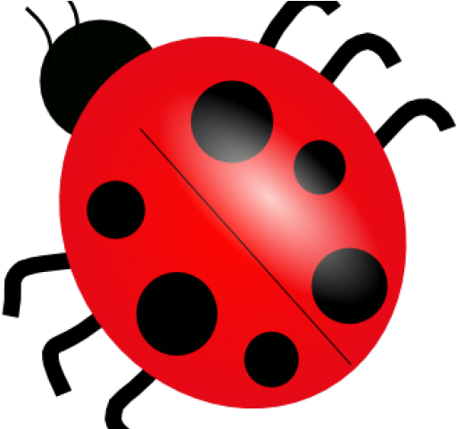 Ladybug Clipart Public Domain - Dibujo De Una Mariquita (640x480)