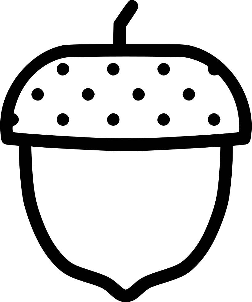 Acorn Autumn Beech Seed Tree Oak Comments - Drawing (818x980)