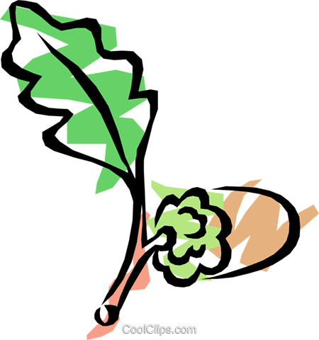 Acorn With Oak Leaf Royalty Free Vector Clip Art Illustration - Acorn With Oak Leaf Royalty Free Vector Clip Art Illustration (450x480)