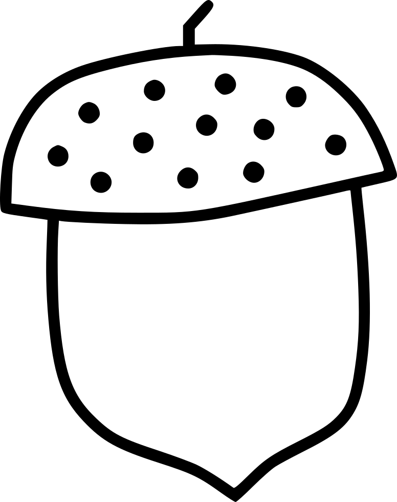 Acorn Autumn Beech Seed Tree Oak Comments - Acorn (776x980)