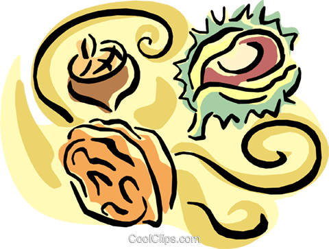 Acorns Royalty Free Vector Clip Art Illustration - Nut (480x363)