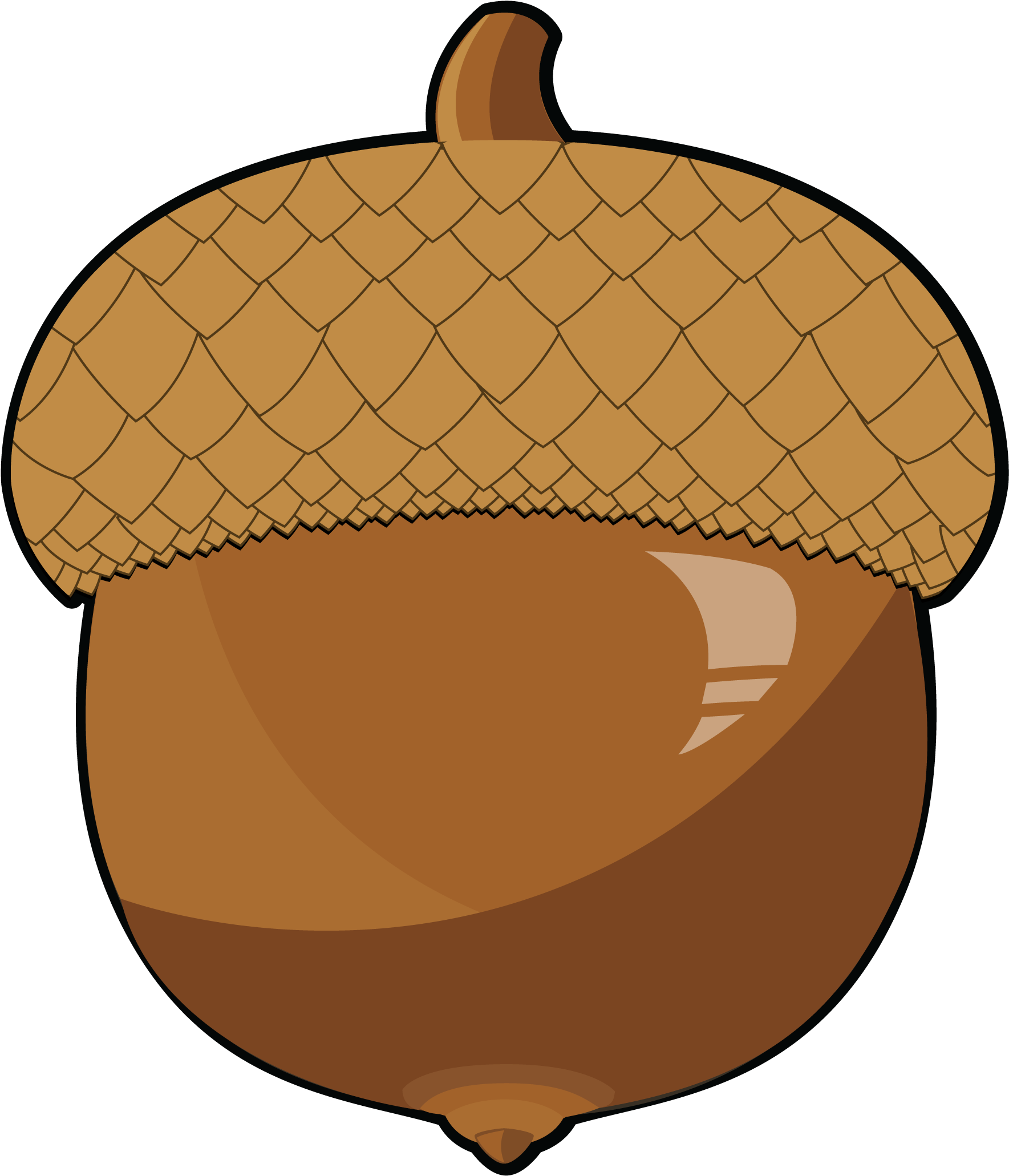 Acorn Clipart Food - Clipart Acorn (2010x2064)