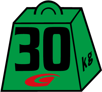 Supergt Weight Handicap - Super Gt Ballast Sticker (480x360)