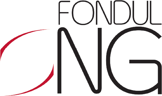 2014 2016 Total Budget - Fondul Ong (800x600)