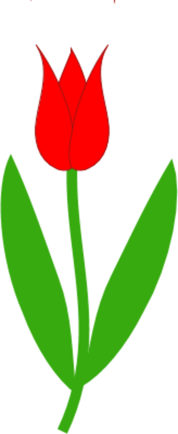 Tulip Clip Art Leaves Clipart Free Download - Clip Art (600x1463)