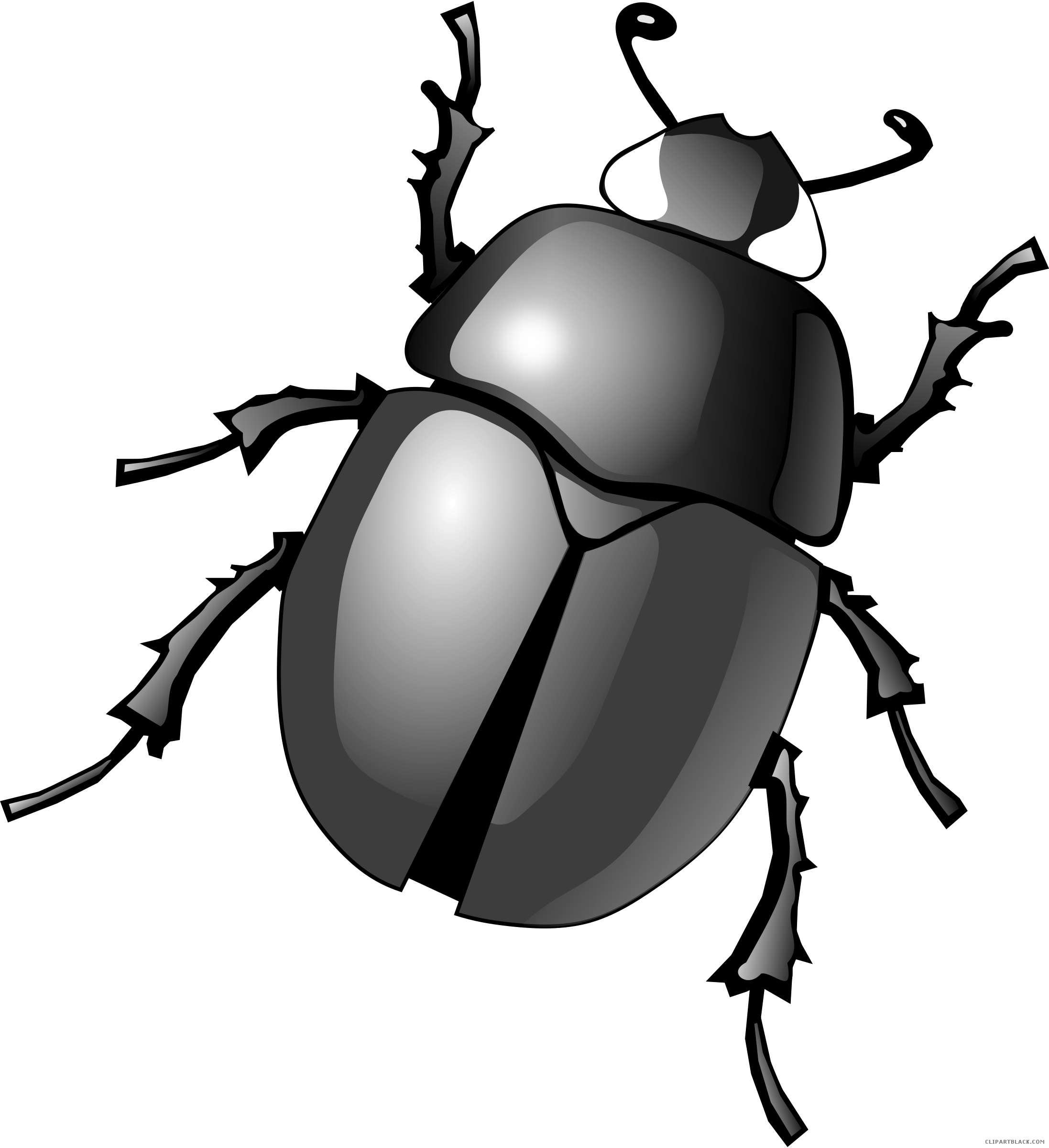 Awesome Bug Animal Free Black White Clipart Images - Beetle Png (2194x2400)