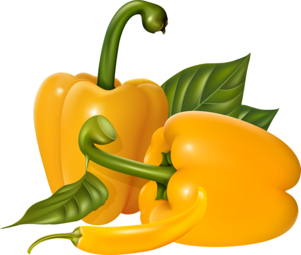 Ch B *✿* - Stainless Steel Vegetable Steamer Basket By Exquisite (600x509)