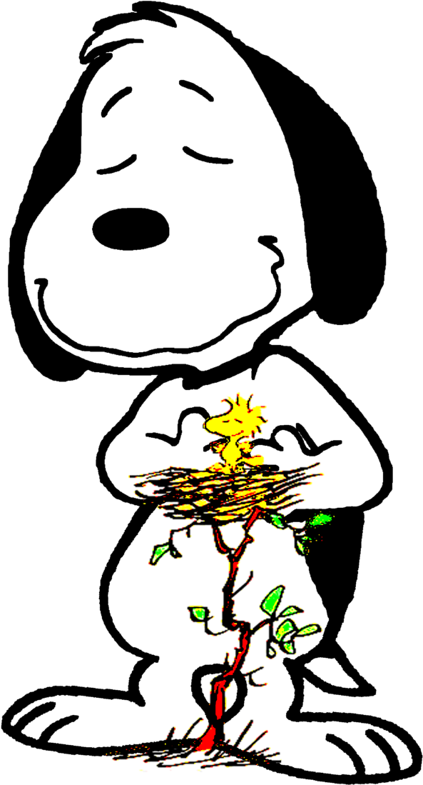 O Grande Amigo E Protetor Do Woodstock By Bradsnoopy97 - Woodstock Peanuts (706x1133)