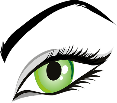 Eye Green Eyes Iris Eyelid Eyebrows Brows - Eye Clipart (387x340)