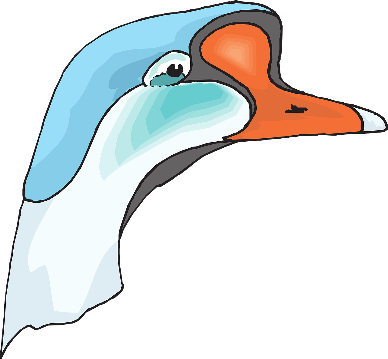 Beak Head, Blue, White, Bird, Goose, Animal, Beak - Cabeza De Ganso Png (1280x1186)