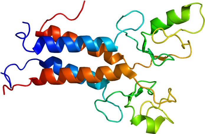 Brca1 Gene (744x504)