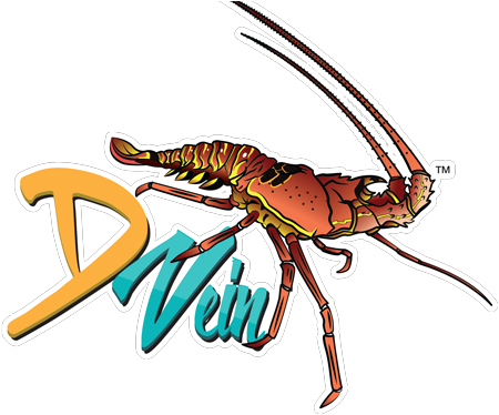 Meet D Vein Company - Insect (500x383)
