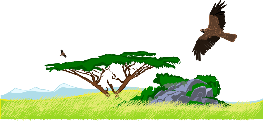 Steppe Clip Art - Jungle Clip Art (900x414)