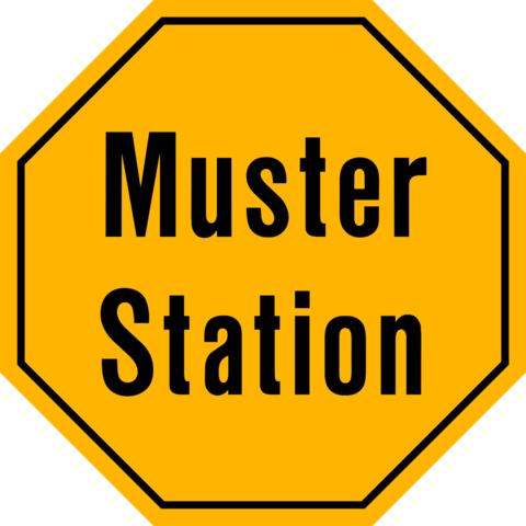 Muster Station - Braid (480x480)