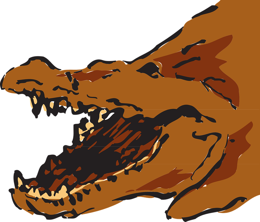 Brown Alligators (843x720)