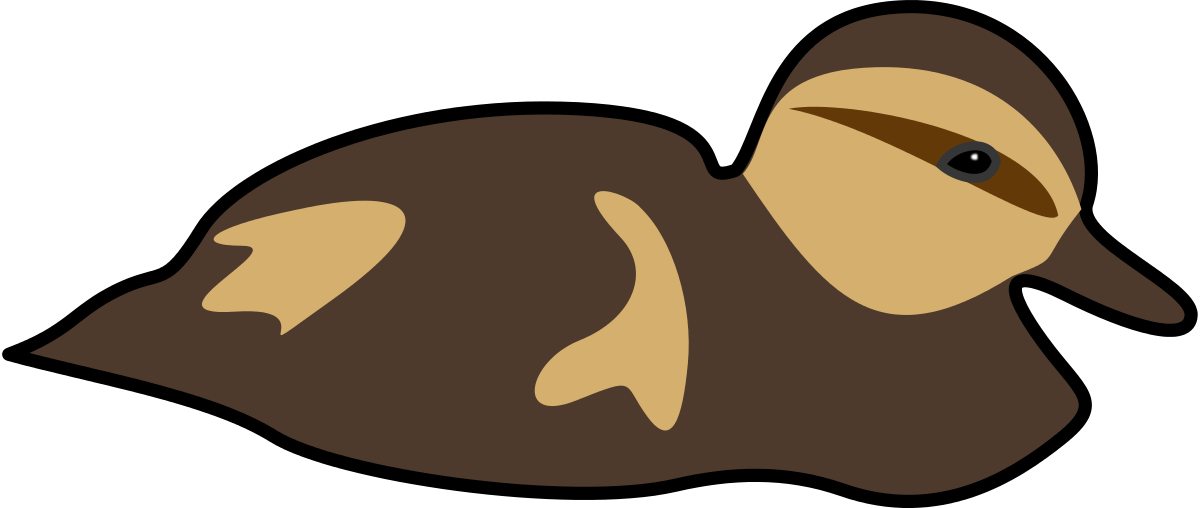 Swimming Duckling Png Images - Duck (1200x508)