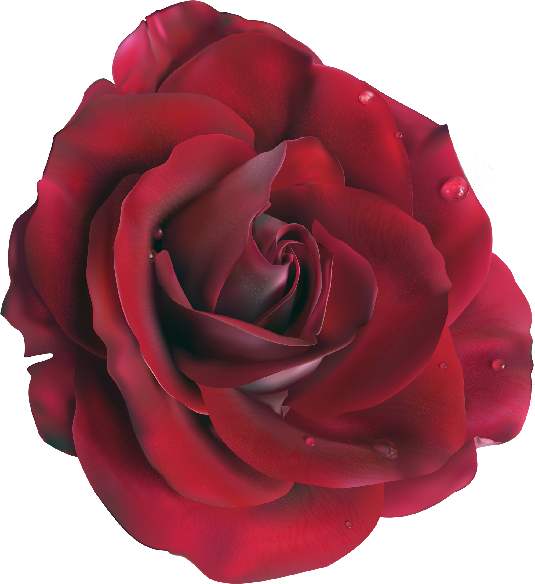 Rose Clipart Transparent Background - Blue Rose .png (1800x1965)