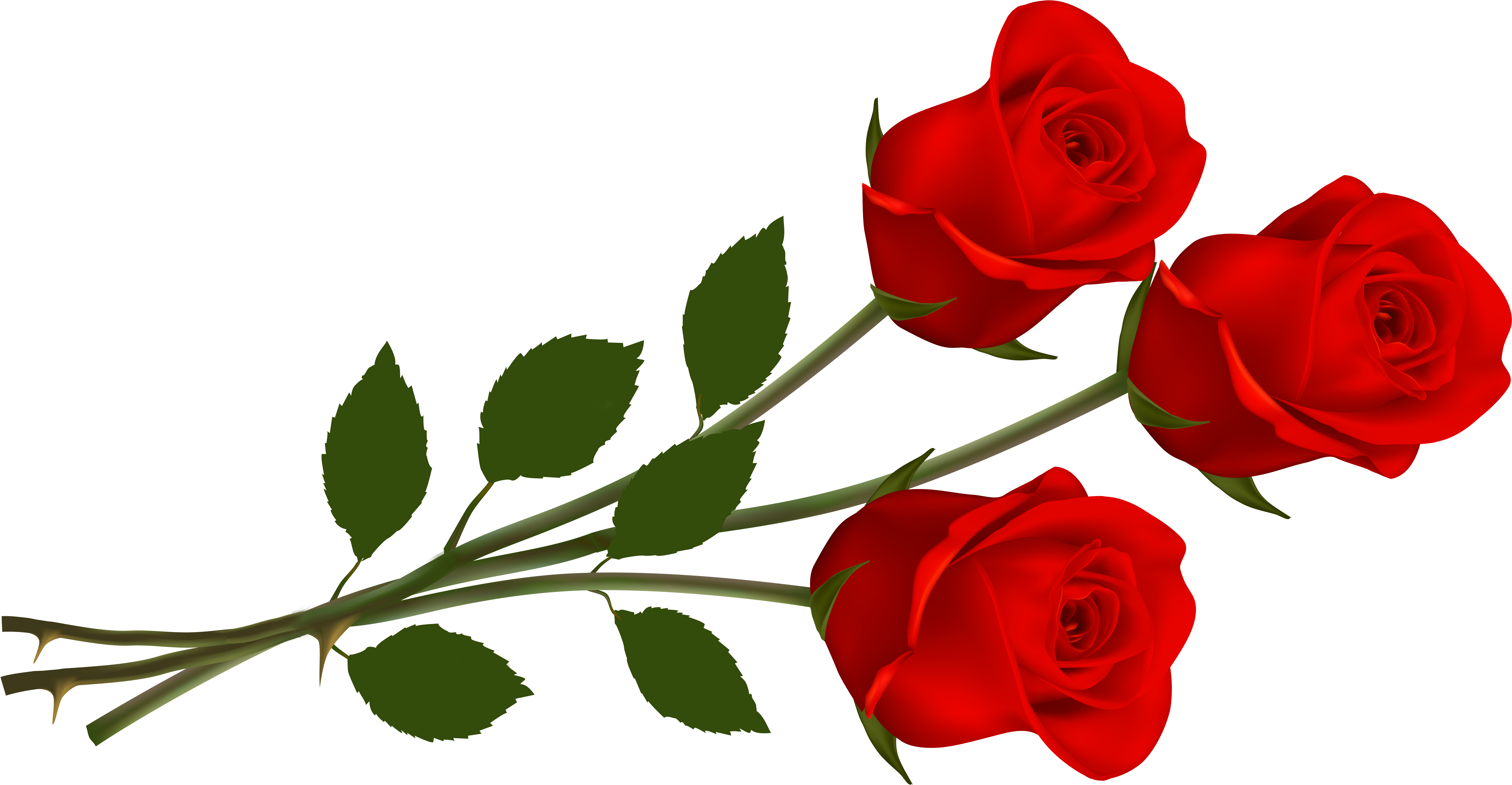 Large Red Roses Png Clipart - Rose Png Hd (6500x3637)