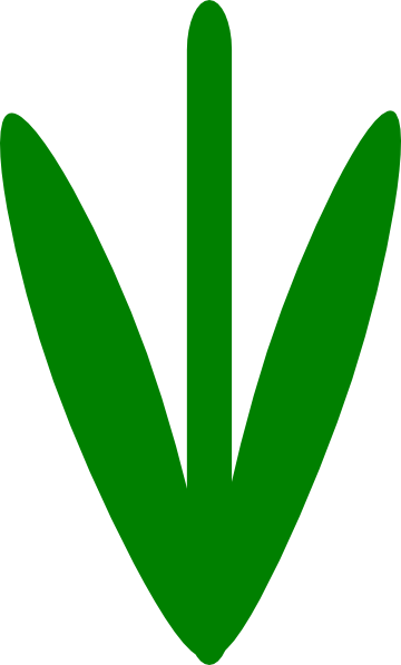 Stem Clip Art At Clker - Stem Clip Art (360x597)