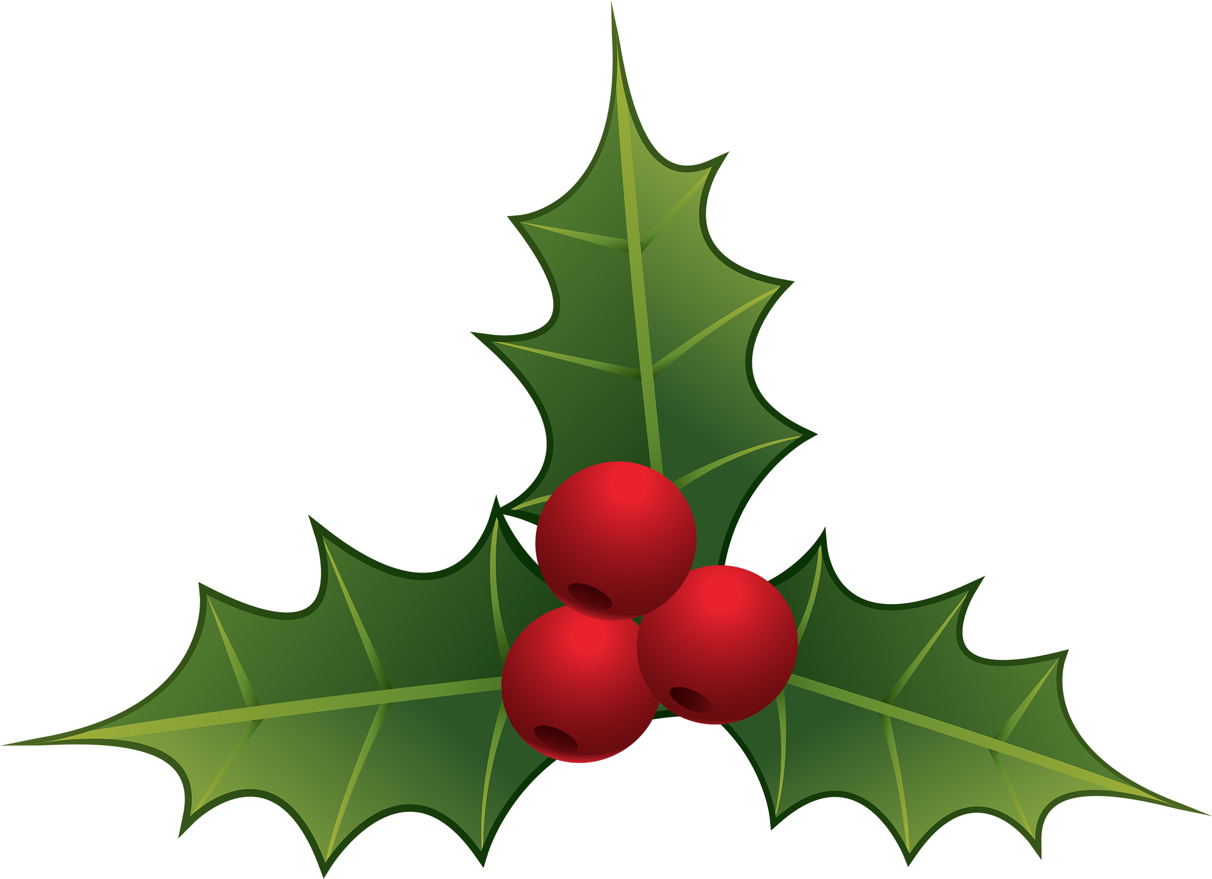Mistletoe Png Clipart - Mistletoe Clipart (2500x1839)