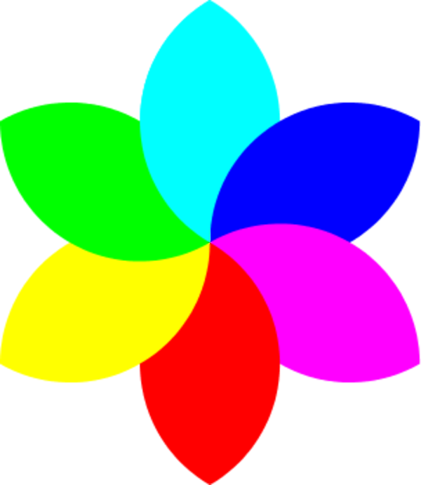 6 - Seven Color (600x691)