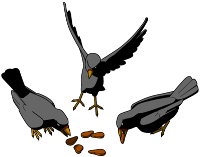 Birds Eating Seeds - Seeds On A Path (400x314)