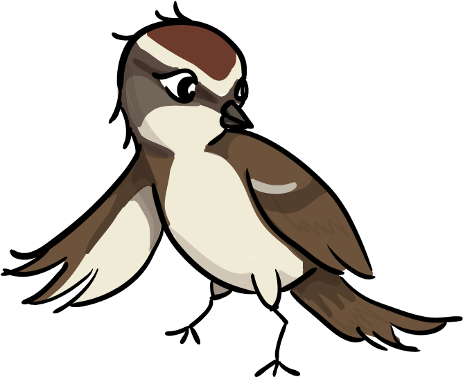 Sparrow Bird Clip Art - Sparrow Cartoon Png (1088x638)