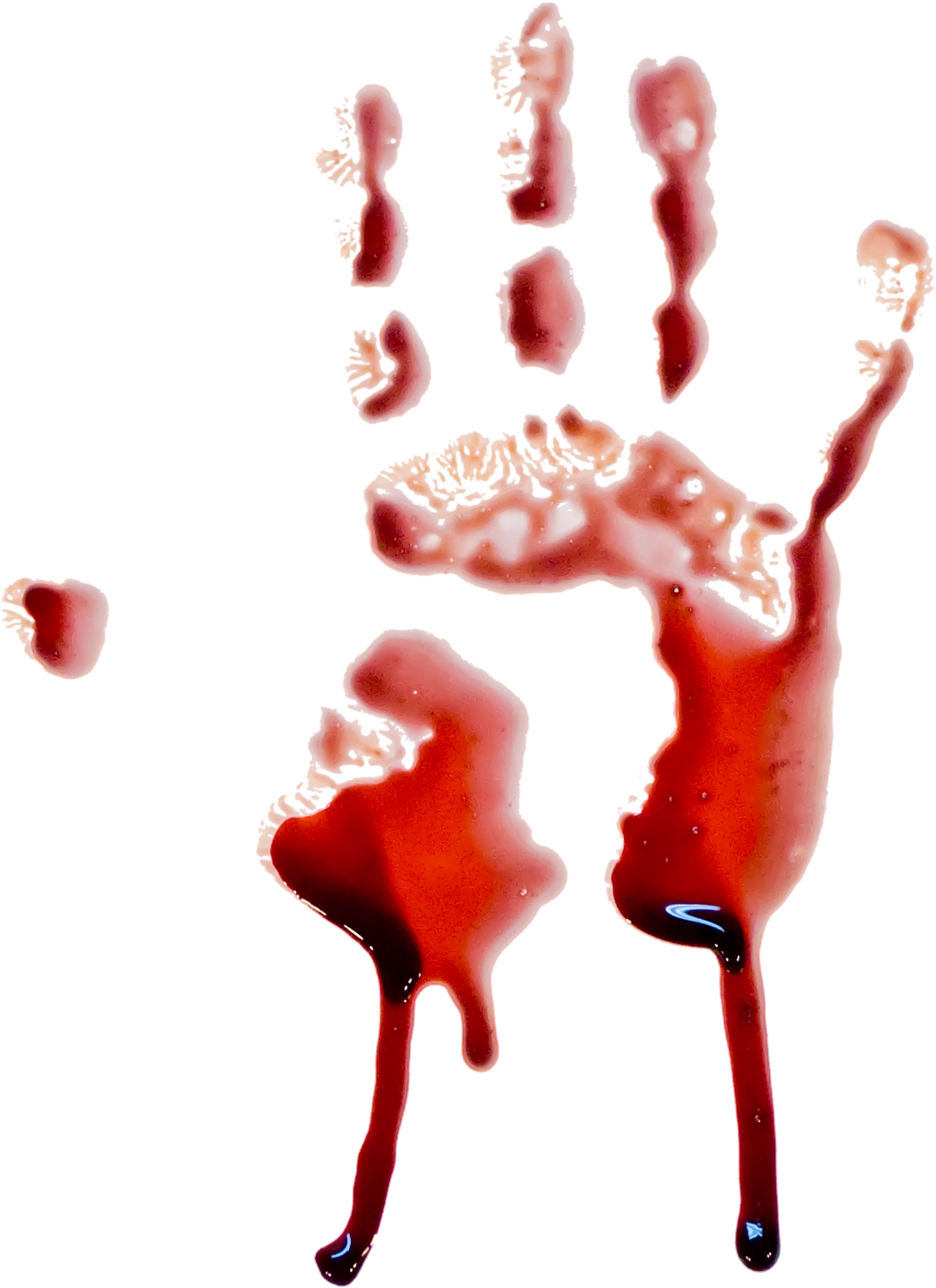 Blood Png Image - Bloody Handprint Transparent Background (1969x2709)