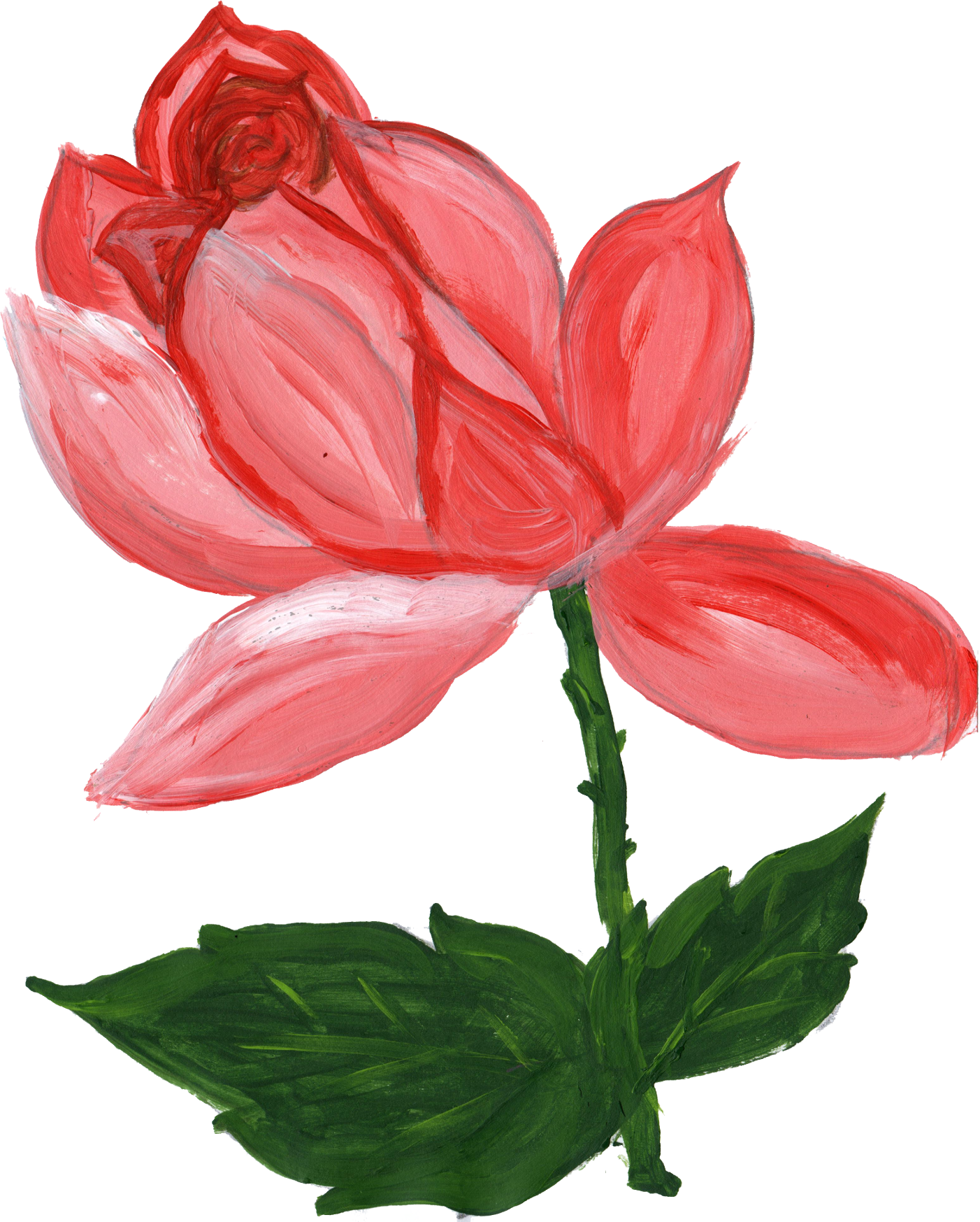 1402 × 1747 Px - Peony (1402x1747)