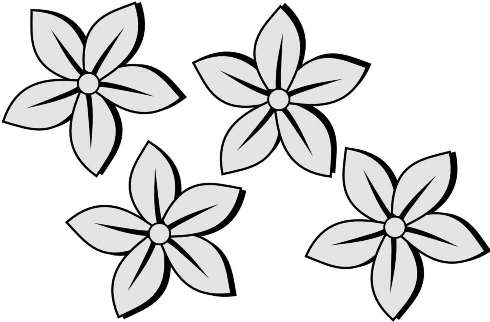 New Pics Of Drawing Flowers Pictures Pictures Of Flower - Black And White Flowers Clip Art (990x652)