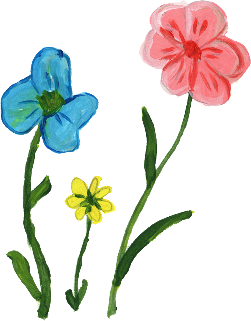 1032 × 1317 Px - Flowers 10 Kb (802x1024)