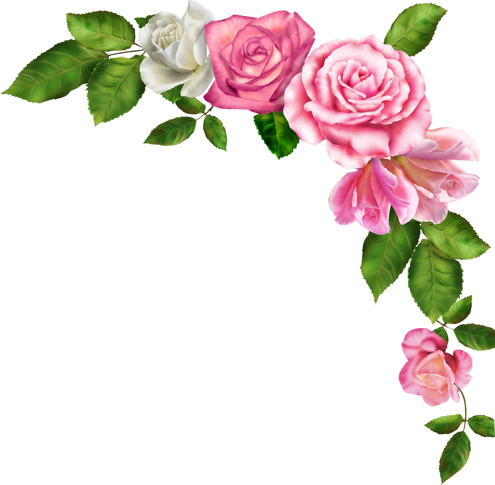 Borders And Frames Pink Flowers Clip Art  Border Line Flower Clipart