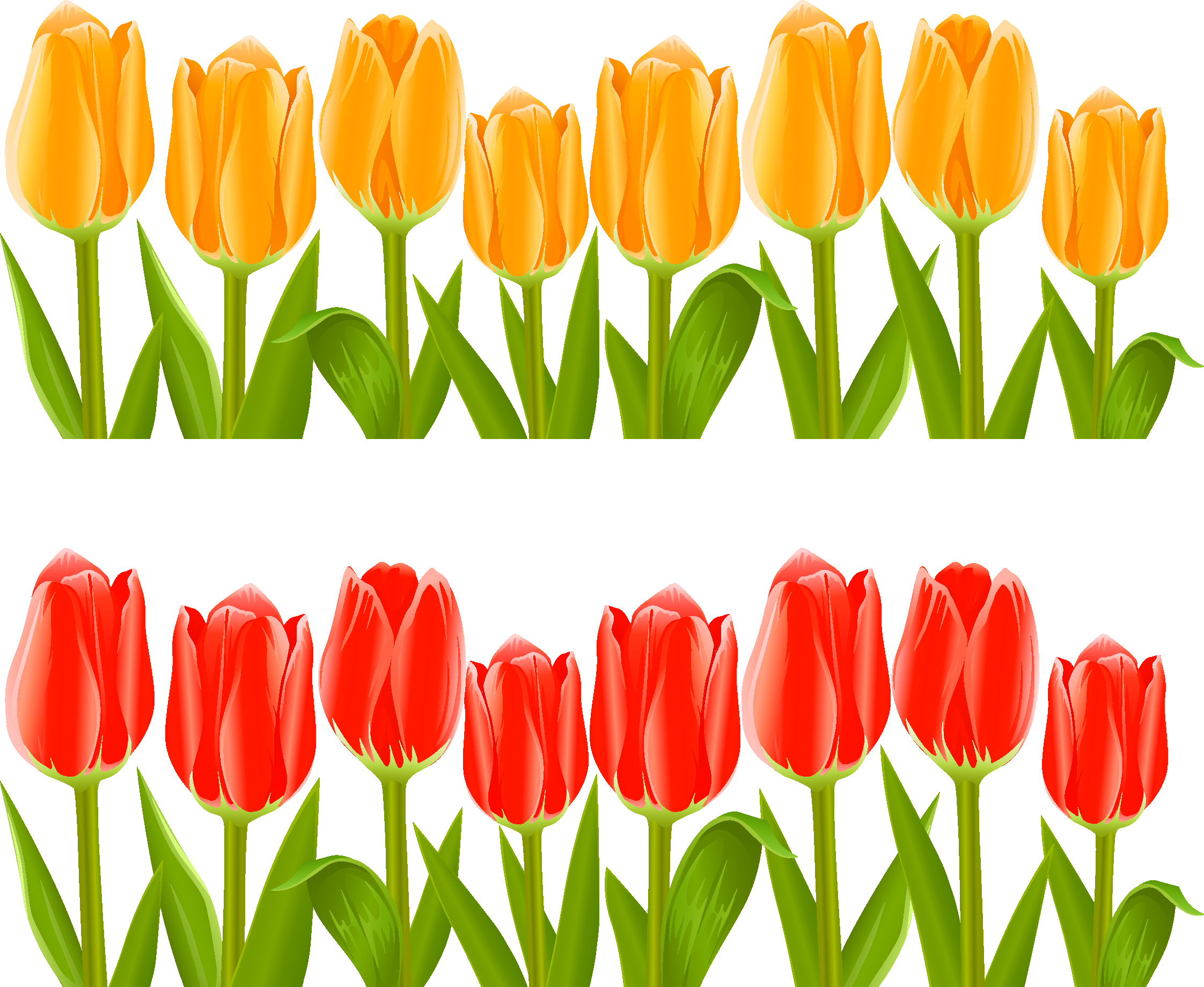Indira Gandhi Memorial Tulip Garden Flower Clip Art - Indira Gandhi Memorial Tulip Garden Flower Clip Art (2244x1839)
