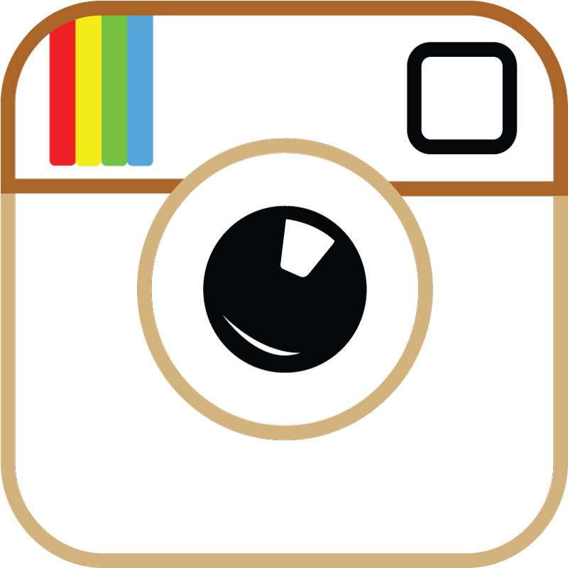 Instagramm Clipart Small - Transparent Background Instagram Logo Png (800x800)