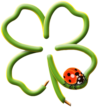 Czterolistna Koniczyna, Drutu - Ladybug On Four Leaf Clover (480x480)