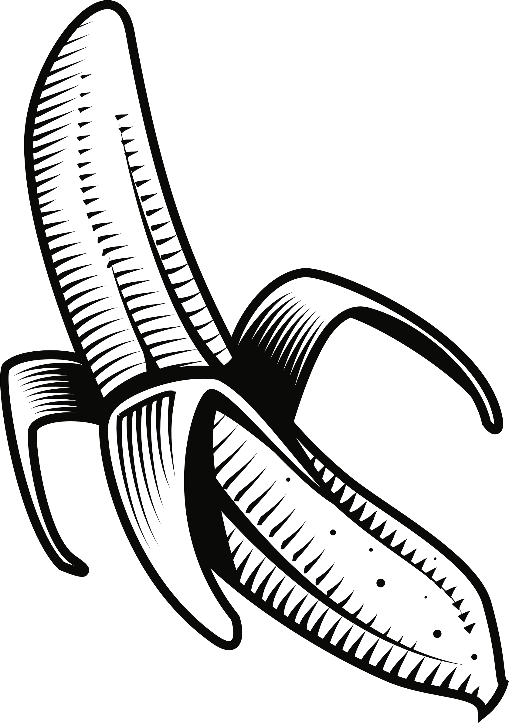Big Image - Clipart Pisang Hitam Putih (1677x2379)