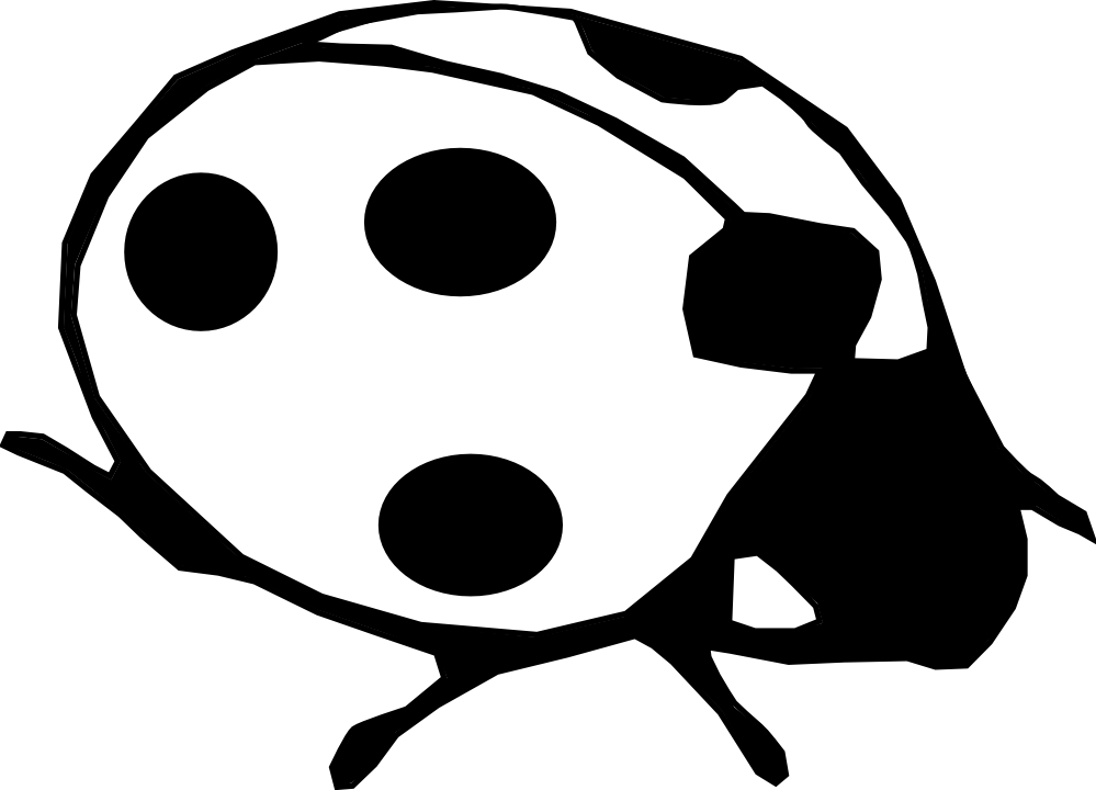 White Clipart Ladybug Pencil And In Color Black - Lady Beetle Black And White (999x720)