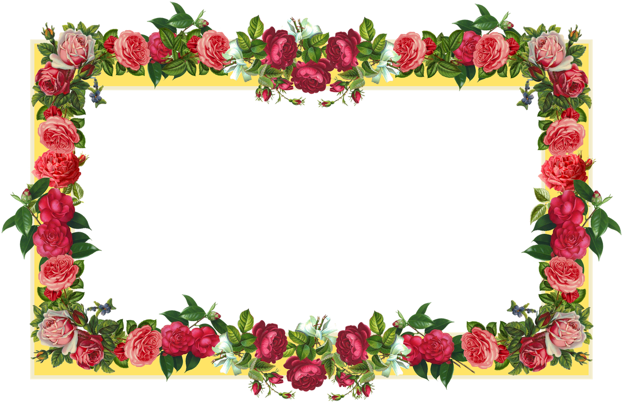 Free Yellow And Red Vintage Rose Frame And Vintage - Border Design Flower Rose (1334x900)